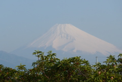 P1380235　4月17日 今朝の富士山