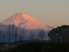 11月25日　朝の富士山