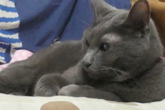 P1080811　くつろぐ