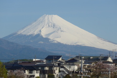 P1210820　4月15日 今朝の富士山
