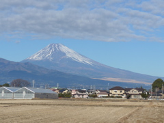 １月４日　富士山