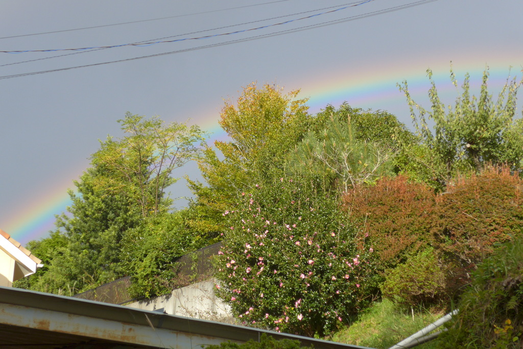 P1250394　虹
