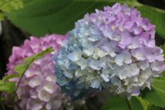 P1080264　虹色♪