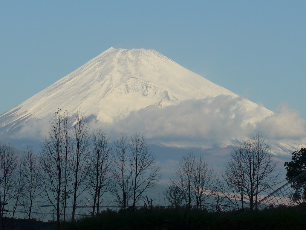 11月24日　朝の富士山