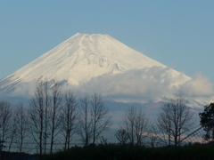 11月24日　朝の富士山