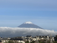 IMG_0298　11月1日 今朝の富士山