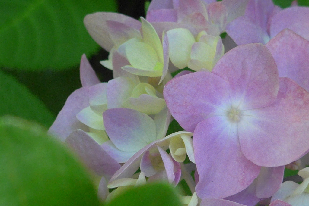 P1300459　優しく