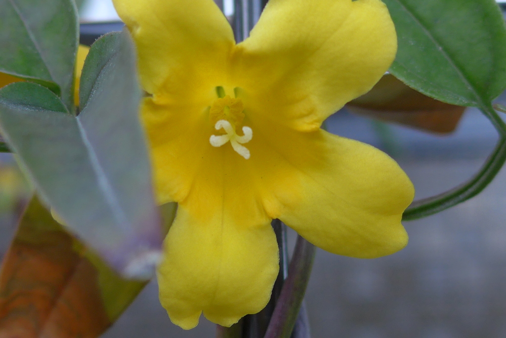 P1140394　おはよう～♪