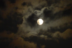 P1240926　10月1日 今夜のお月さま