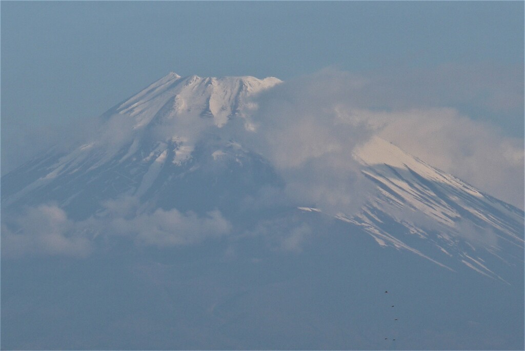 P1260723 (2)　4月7日 今朝の富士山