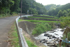 P1240355　ある風景