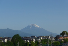 P1350660　5月17日 今朝の富士山