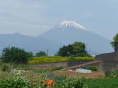 P1090273　富士山と…
