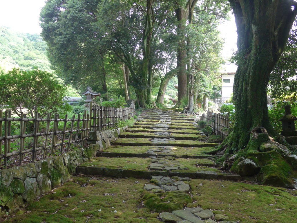 P1100203　伊豆高源寺