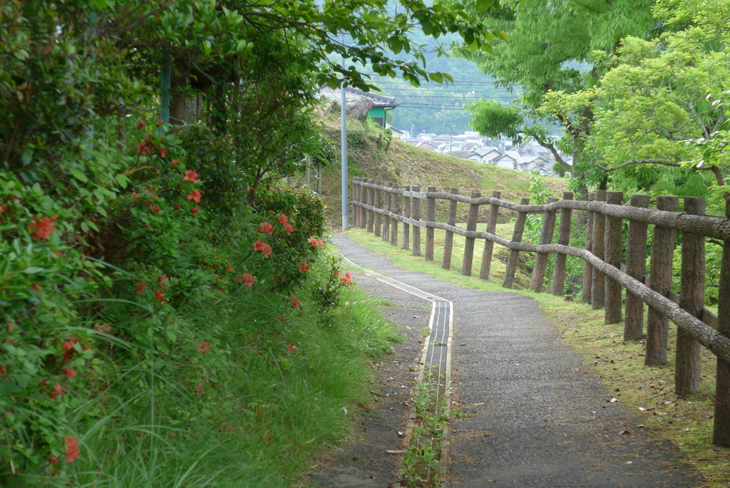 P1300080　散歩道