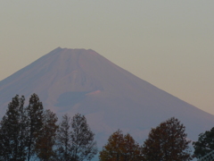 今朝の富士山