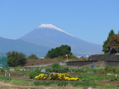 きょうの富士山