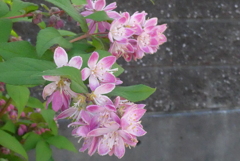 P1320906