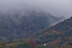 P1250569 (2)　雨の朝