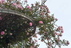 P1270267　優しい空と…