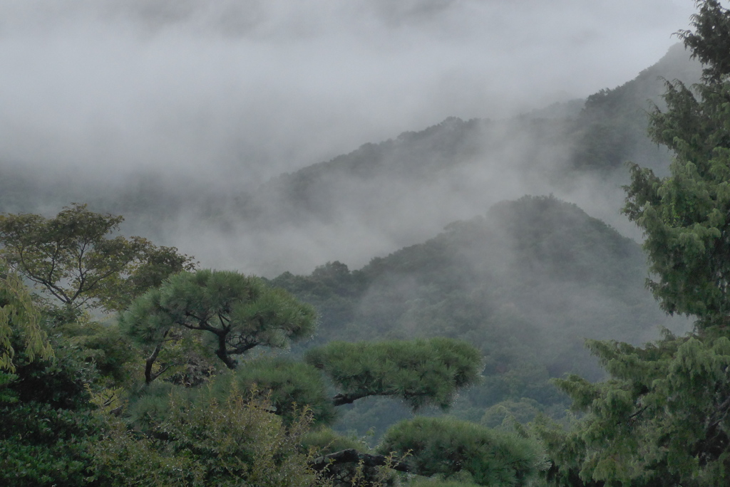 P1360627　雨上がりの朝に