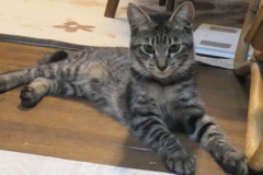 P1080807　おすまし