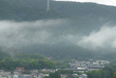 P1330973　雨上がりの朝に