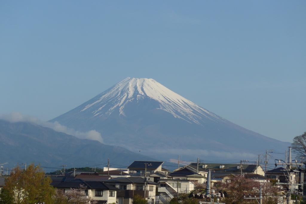 P1260658　富士山の日・春