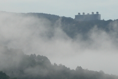 P1300739　雨上がりの朝に