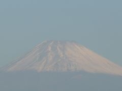 今朝の富士山