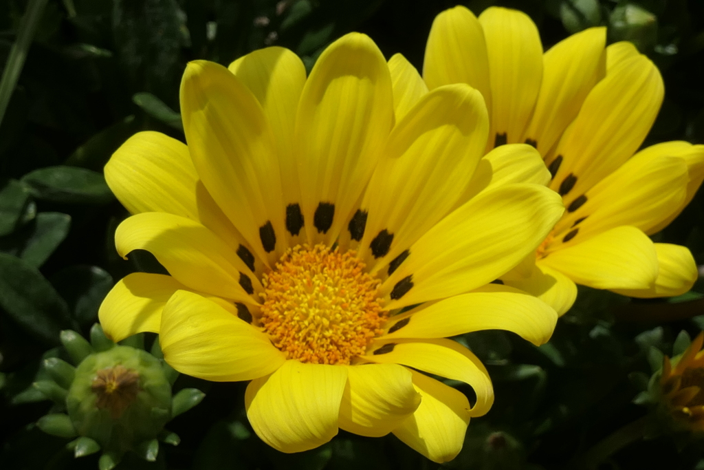 P1058235　元気に