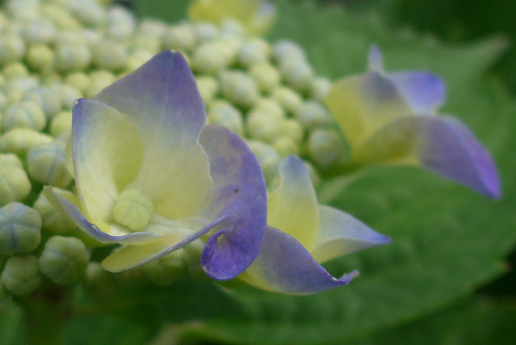 P1150993　はじまり