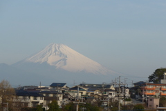P1320329　3月17日 今朝の富士山
