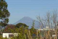 P1250775　12月27日 今朝の富士山