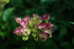 R0353598　始まりの時