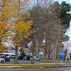 P1340712　初冬