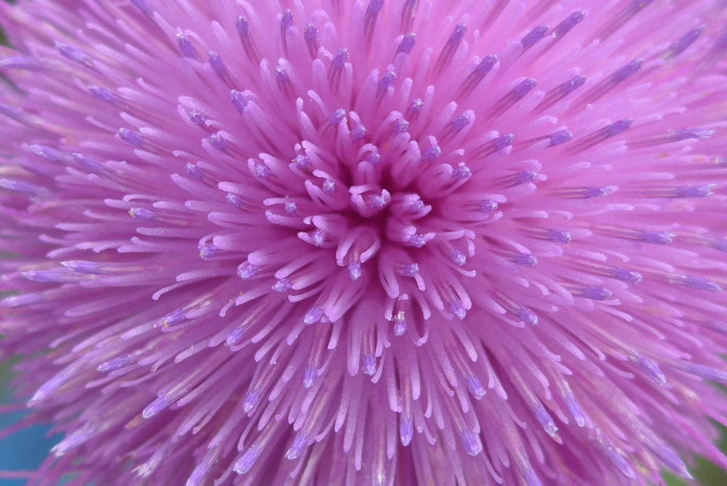 P1270752