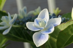 P1012111　はじまり