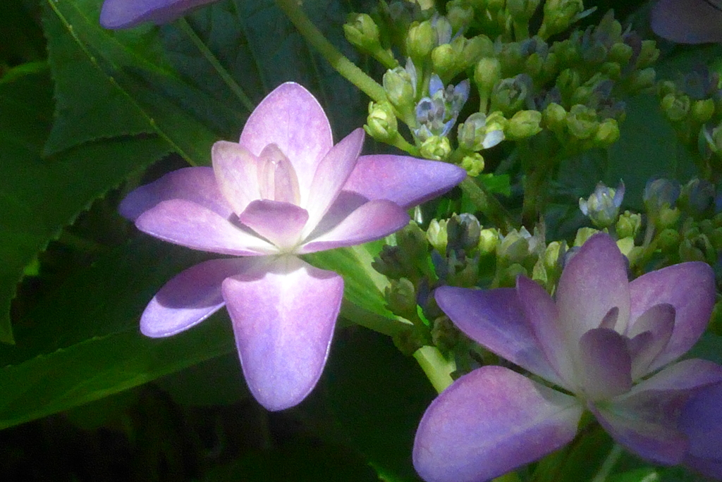 P1230191　スポットライト