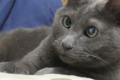 P1080810　あのね…(=^・^=)