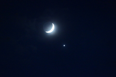 P1023098　11月8日 月と金星