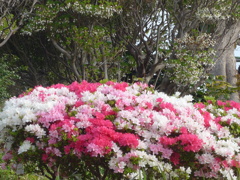 P1080555　ん…？…♪