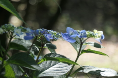 P1012311　いつもの公園で