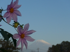 P1120825 (2)　富士山と