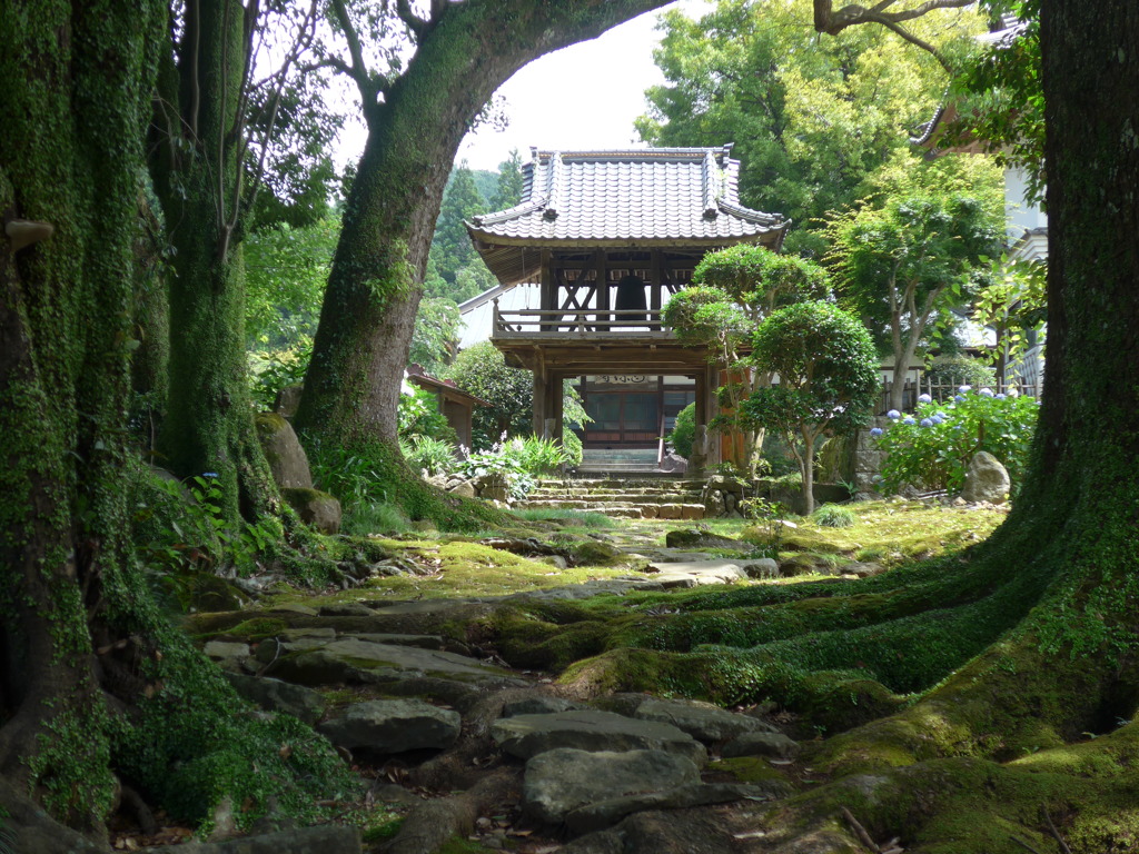 P1100205　伊豆高源寺
