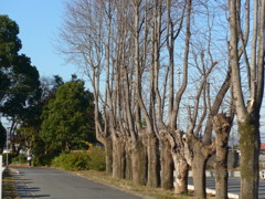初冬…