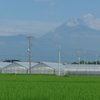 夏富士と田園