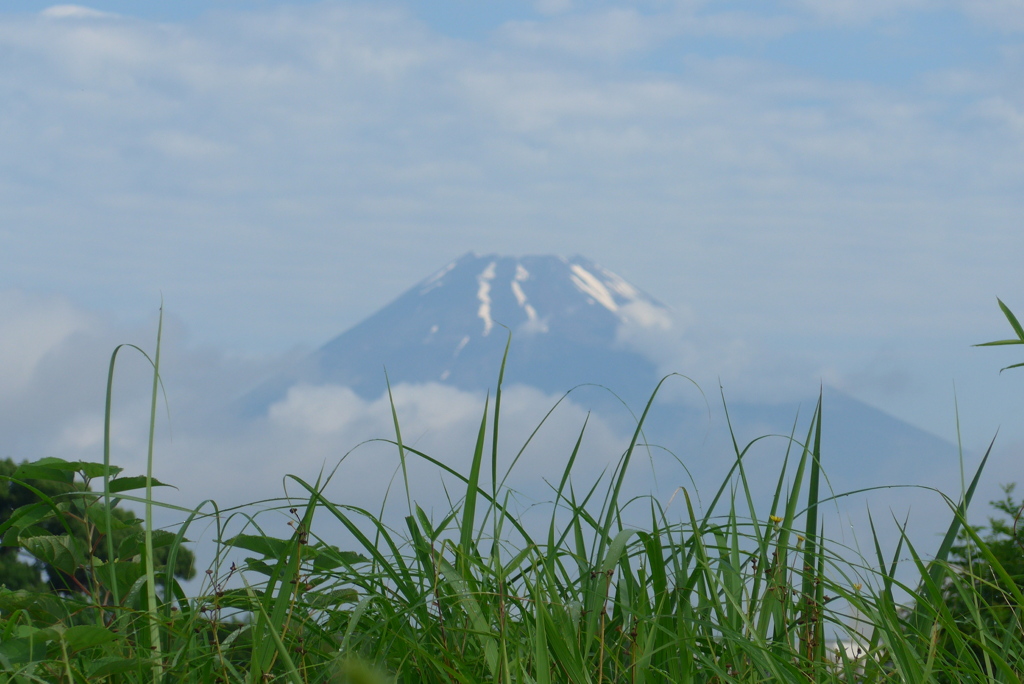P1300738　6月19日 今朝の富士山