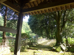 高源寺四脚門