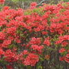 P1080482　元気に ♪